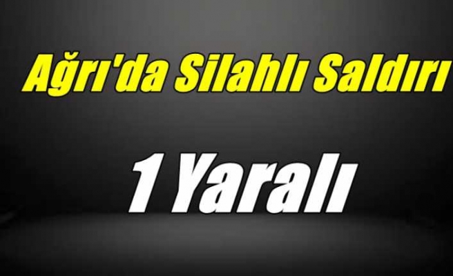 Ağrı'da silahlı saldırıya uğrayan iş adamı yaralı olarak kurtuldu