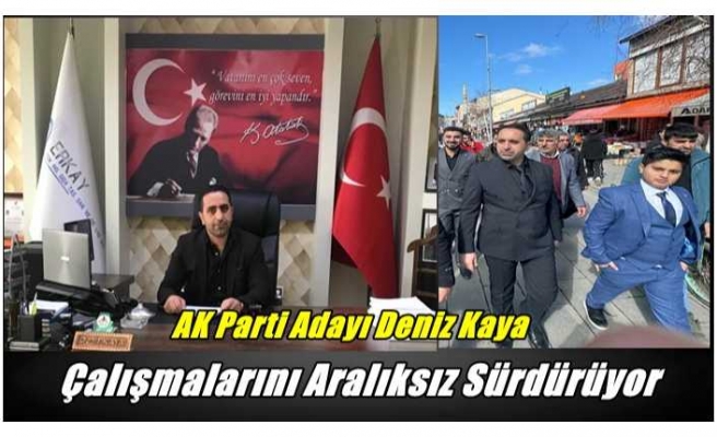 AK Partili Deniz Kaya Çalışmalarına Hız Verdi