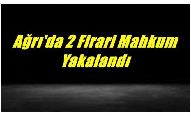 Ağrı'da İki Firari Mahkum Yakayı Ele Verdi