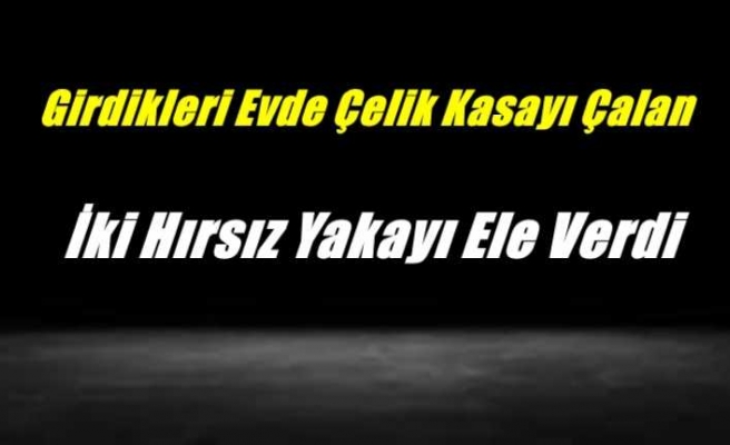 Ağrı'da Girdikleri Evden Çelik Kasayı Çalan İki Kafadar Yakayı Ele Verdi