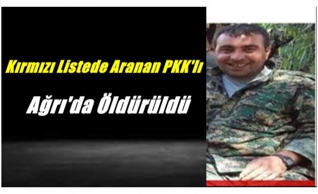 Kırmızı Listede Aranan PKK'lı Ağrı'da Öldürüldü