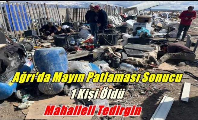 Ağrı'da Mayın Patlaması Sonucu 1 Kişi Öldü
