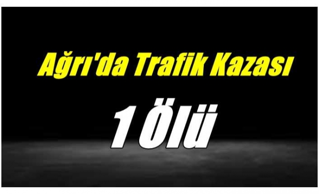 Ağrı'da Trafik Kazası 1 Ölü