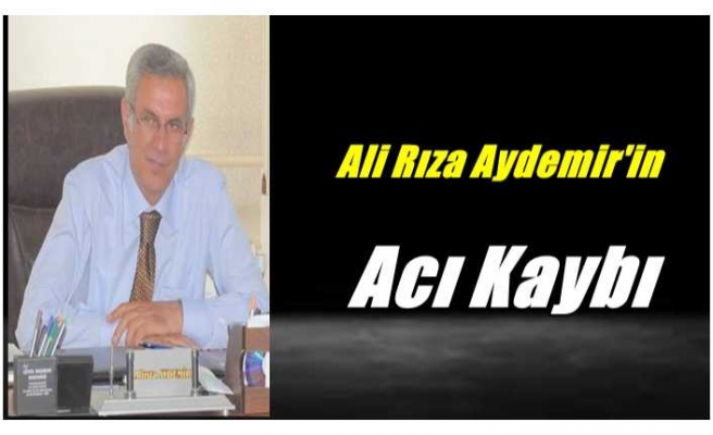 Sabiha Aydemir Hayatını Kaybetti