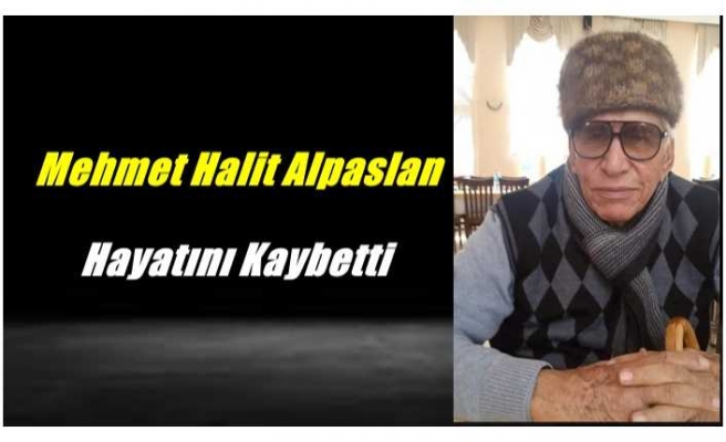 Mehmet Halit Alpaslan Hayatını Kaybetti