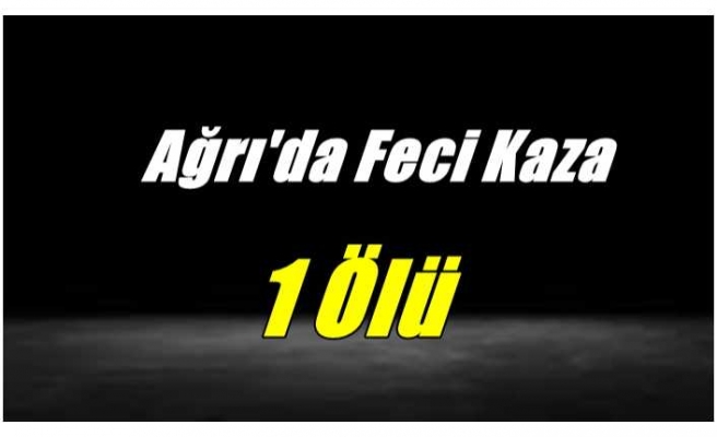 Ağrı'da Feci Kaza 1 Ölü