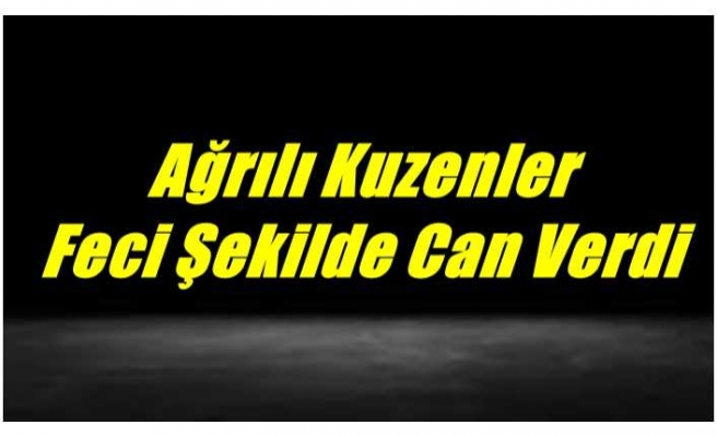 Ankarada İş Kazası Ağrılı Kuzenler Feci Şekilde Can Verdi