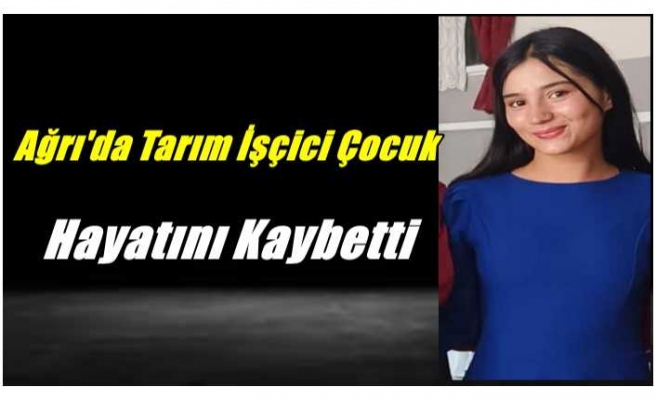 Ağrı'da Ailesi ile Birlikte Hasada Giden  Çocuk Feci Şekilde Can Verdi
