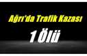 Ağrı'da Trafik Kazası 1 Ölü