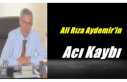Sabiha Aydemir Hayatını Kaybetti