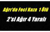Ağrı'da feci kaza 1 Ölü 2'si ağır 4 yaralı