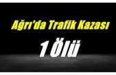 Ağrı'da Trafik Kazası 1 Ölü
