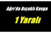 Ağrıda bıçaklı kavga 1 yaralı