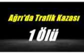 Ağrı'da Trafik Kazası 1 Ölü