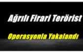 Ağrılı Firari Terörist Operasyonla Yakalandı