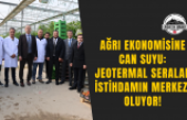 Ağrı Ekonomisine Can Suyu: Jeotermal Seralar İstihdamın Merkezi Oluyor!