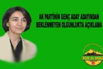 Ak Parti'nin Genç Adayı Propaganda'nın Seyrini Değiştirdi