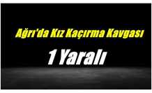 Ağrı'da Kız Kaçırma Kavgası 1 Yaralı