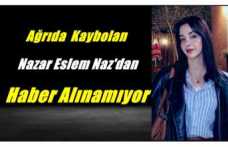 Ağrı'da  Kaybolan 19 Yaşındaki Genç Kızdan Haber Alınamıyor