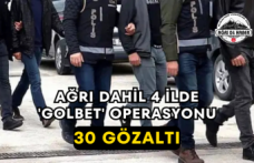 Ağrı Dahil 4 İlde 'GOLBET' Operasyonu 30 Gözaltı