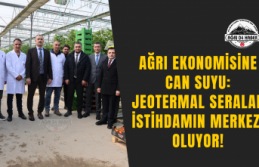 Ağrı Ekonomisine Can Suyu: Jeotermal Seralar İstihdamın...