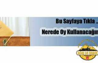 Nerede Oy Kullanacaksınız