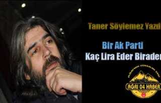 Taner Söylemez Yazıları