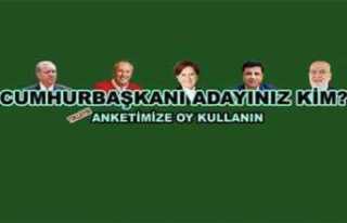 Ağrı'nın Cumhurbaşkanı Anketi