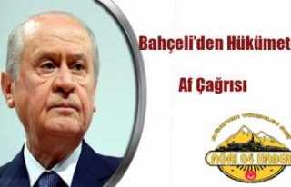 Bahçeli Kısmi Af İstedi