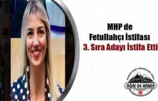 Mhp'ye FETO Sızdı