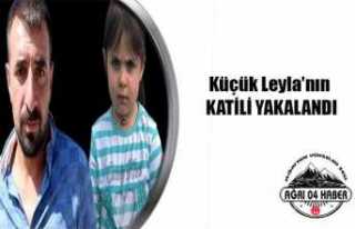 Leyla Aydemir'in Katili Tutuklandı