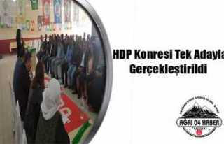 Doğubayazıt HDP Kongresi Yapıldı
