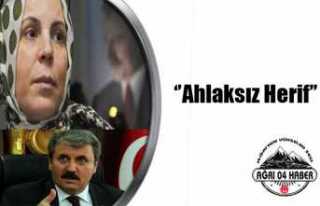 Gülefer Yazıcıoğlu, Destici'yi Mahkemeden...