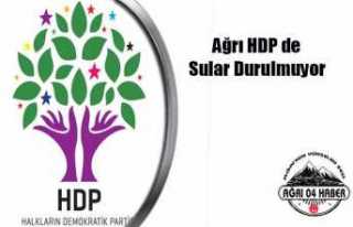 Ağrı HDP de Sular Durulmuyor