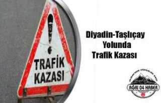 Ağrı'da Ölümlü Trafik Kazası