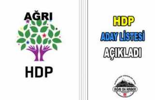 HDP Ağrı Meclis Üyeleri Aday Listelerini Açıkladı