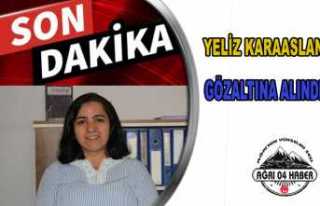 Yeliz Karaaslan Gözaltına Alındı