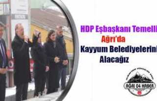 HDP Eşbaşkanı Temelli Ağrı'da:Kayyum Belediyelerini...