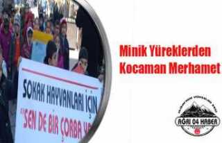 Minik Yüreklerden Kocaman Merhamet