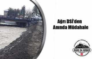 Ağrı DSİ Anında Müdahale Etti