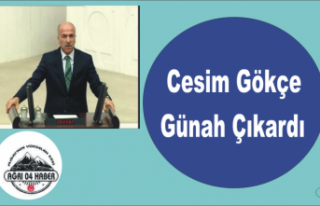 Cesim Gökçe'den Sisteme Sitem