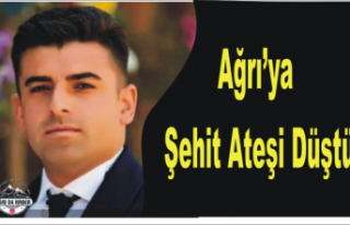 Ağrı'ya Şehit Ateşi Düştü