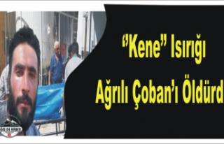 Ağrılı Çoban Hayatını Kaybetti