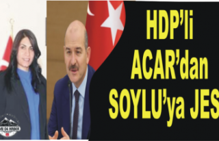 HDPli Acar'dan Bayrak Jesti