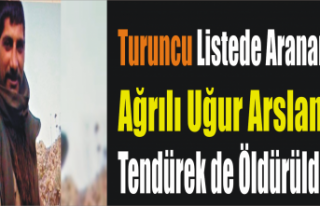 Turuncu Listede Aranan Ağrılı Öldürüldü