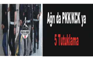 Ağrı da PKK ya 5 Tutuklama