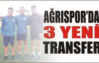 Ağrı Spor da 3 Yeni Transfer