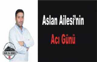 Aslan Ailesi'nin Acı Günü