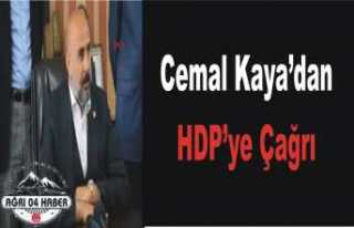 Cemal Kaya'dan HDP ye Acil Çağrı