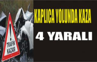 Kaplıca Yolunda Kaza